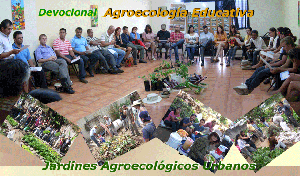 agroweb2